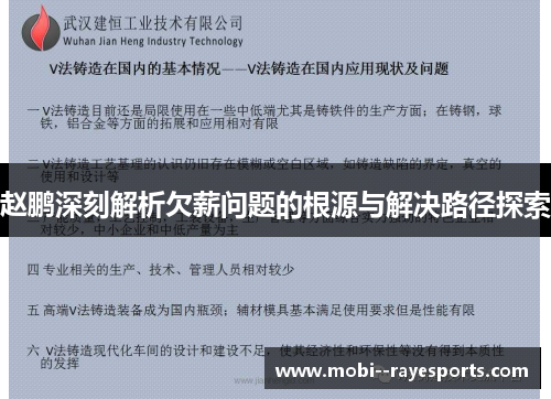 赵鹏深刻解析欠薪问题的根源与解决路径探索